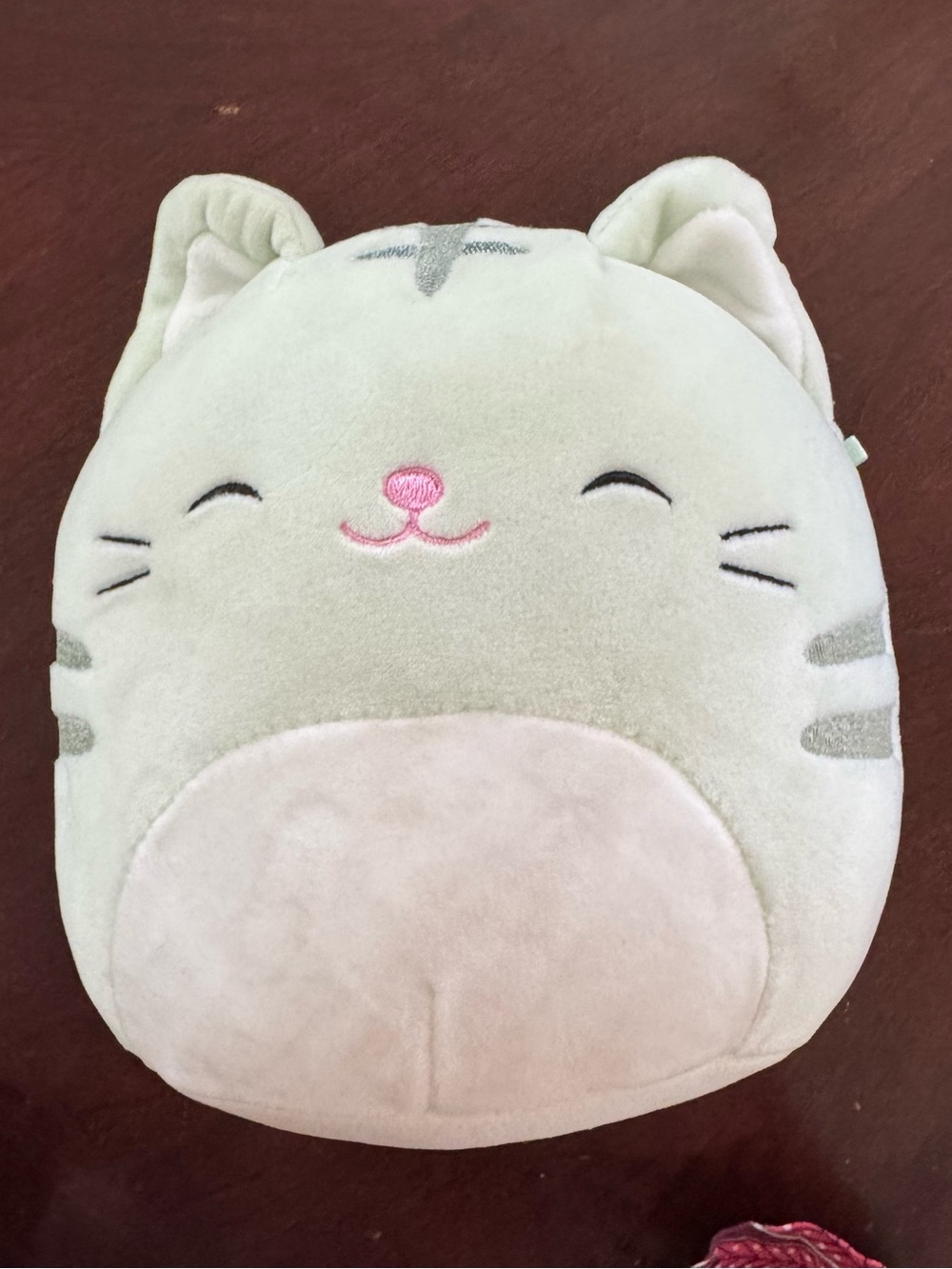 Chase the Mint Cat squishmallow